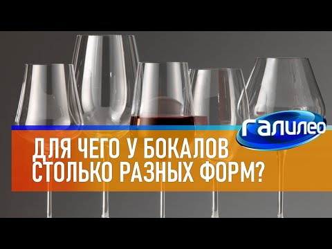 Видео: Галилео 🍷 Для чего у бокалов столько разных форм?