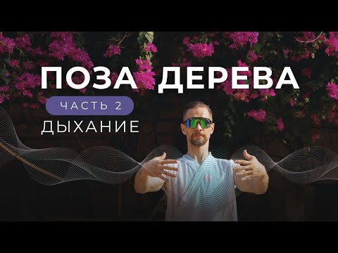 Видео: Зарядка без движений — Стой и молодей: даосская практика, которая меняет тело и сознание.  #цигун
