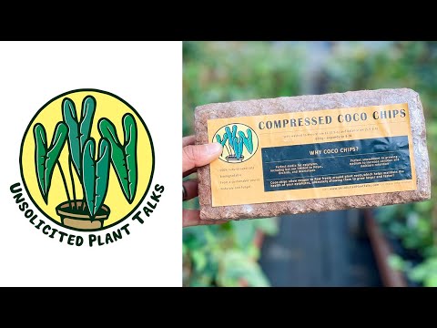 Видео: Незапланированные разговоры о растениях, выпуск 3 - Почему я люблю кокосовую шелуху для хой!