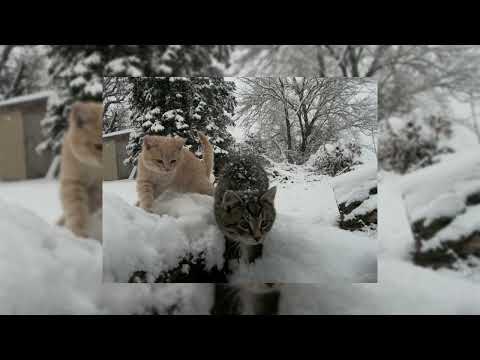 Видео: новогодний вайб плейлист speed up!!!