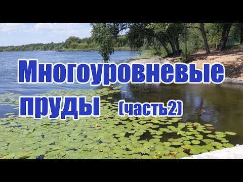 Видео: Многоуровневые пруды (часть2)