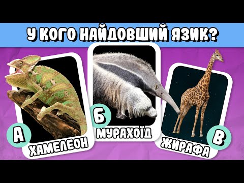 Видео: 😮 Вікторина #3 | 40 питань на логіку та знання 