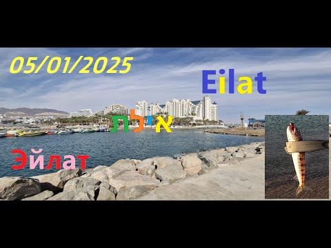 Видео: 4K 05/01/2025 דיג באילת fishing in Eilat рыбалка в Эйлате pescando em Eilat pesca en Eilat