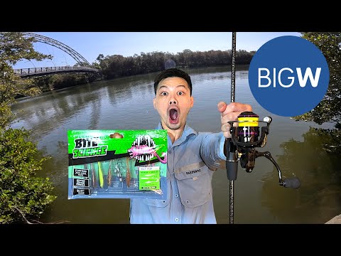 Видео: Рыболовный челлендж BIGW с призом в 10 долларов! (КРУПНАЯ РЫБА!)