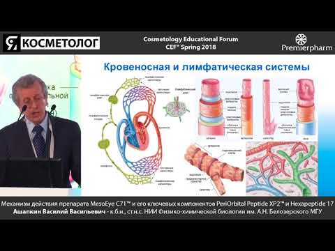 Видео: Механизм действия препарата MesoEye C7 и его ключевых компонентов PeriOrbital Peptide и Hexapeptide