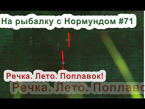 Видео: Речка. Лето. Поплавок. На рыбалку с Нормундом #71