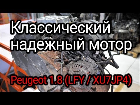 Видео: Надежный "француз" с "мокрыми" гильзами. Веселая разборка классического двигателя (LFY / XU7JP4).
