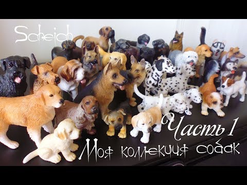 Видео: Моя коллекция собак Schleich - часть 1/ My Schleich dogs collection  Part 1