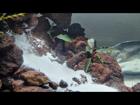 Видео: Аквариум песочный водопад