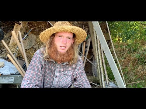 Видео: Сэмюэл Льюис — художник, землевладелец