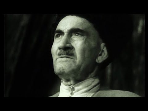 Видео: " АЛИБЕК " документальный фильм Вадима Цаликова