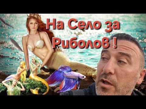 Видео: Риболов в Язовир !!