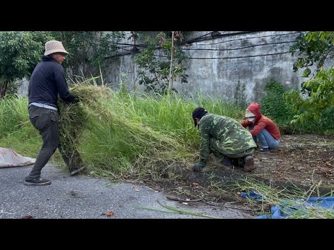 Видео: Убираемся в запретной зоне — заработали 2 000 $ за 2 дня