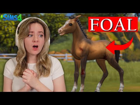Видео: СПАСЕНИЕ БРОШЕННЫХ ЖЕРЕБЯТ - Sims 4 Спасение лошадей | Pinehaven