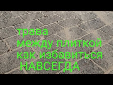 Видео: КАК избавиться от травы между плиткой НАВСЕГДА.@