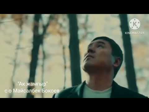 Видео: "Ак жамгыр"с о Майсалбек Бокоев