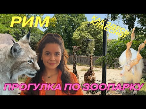 Видео: ИТАЛИЯ/ ЗООПАРК РИМА/ ВСЕ ЛИ ТАК ХОРОШО?