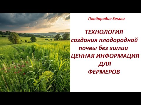 Видео: Для подписчиков Алексея Перепелицы: в плену научных заблуждений о плодородии земли №674/24