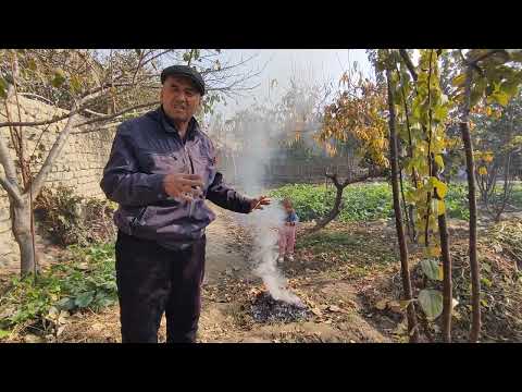 Видео: Хазонни ёкманг, акс холда.Батафсил видеода.