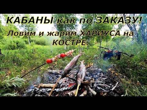 Видео: Ловлю и жарю ХАРИУСА на КОСТРЕ/ Обкатал НОВУЮ,Рыжую МУШКУ!