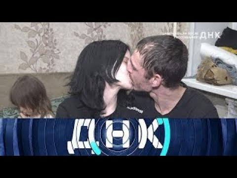 Видео: ДНК . Выпуск от 09.09.2025 - «Забеременела после расставания?» - Передачи НТВ