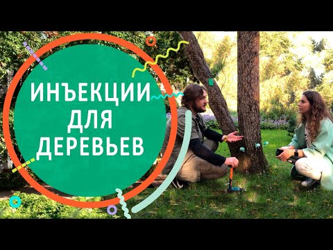 Видео: ИНЪЕКЦИИ ДЛЯ ДЕРЕВЬЕВ