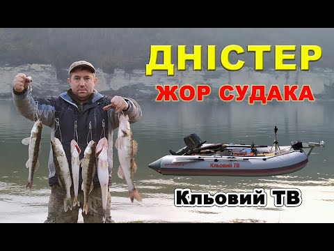 Видео: Дністер. Жор судака.