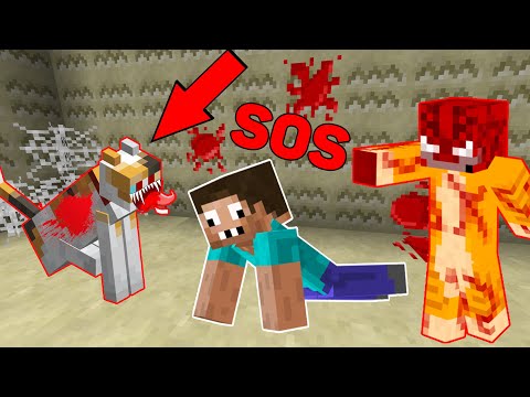 Видео: ЗАЧЕМ СТРАШНЫЕ КОТЫ ОХОТЯТСЯ ЗА МНОЙ В МАЙНКРАФТ ? ПРО ПРОТИВ МОНСТРЫ ЗАКУЛИСЬЯ MINECRAFT ТРОЛЛИНГ