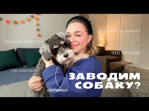 Видео: 3 ГОДА С ЦВЕРГШНАУЦЕРОМ. НАШ ОПЫТ И СОВЕТЫ