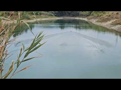 Видео: Кубкарп с автопилотом Kotello лайь