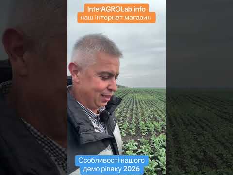 Видео: Особливості нашого демо ріпаку 2025