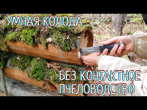 Видео: УНИКАЛЬНАЯ НОВАЯ КОЛОДА ДЮКАРЕВЫХ принципы работы