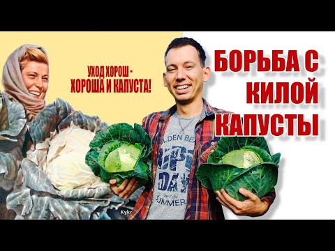 Видео: Борьба с килой капусты
