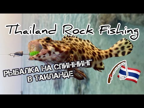 Видео: Рыбалка в Таиланде Rock Fishing Phuket!
