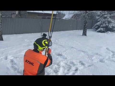Видео: Арбористика/ Big Shot  в деле. Как спилить наклоненное дерево в нужном направлении?!