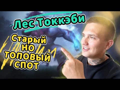 Видео: Топ спот👉 Лес Токкэби 👉  Black Desert  | BDO
