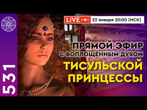 Видео: #531 Прямой Эфир с воплощённым духом Тисульской Принцессы