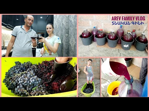 Видео: #Կյանքը գյուղում #Ինչպես պատրաստել գինի։ВИНО из ВИНОГРАДА / Для НОВИЧКОВ - Самый Простой Рецепт /