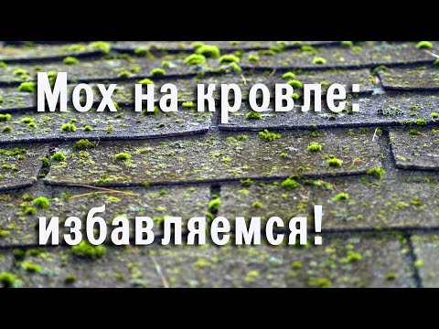 Видео: Гибкая черепица - обработка кровли от мха
