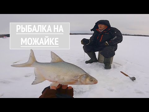 Видео: ЗИМНЯЯ рыбалка на Можайском водохранилище. ЛОВЛЯ СУДАКА и ЛЕЩА #зимняярыбалка