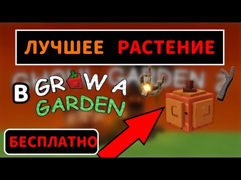 Видео: ЛУЧШЕЕ РАСТЕНИЕ В ГРОВ Э ГАРДЕН | ОБЗОР НОВЫХ ХЕЛЛОУИНСКИХ РАСТЕНИЙ В ВЫРАСТИ САД | GROW A GARDEN |