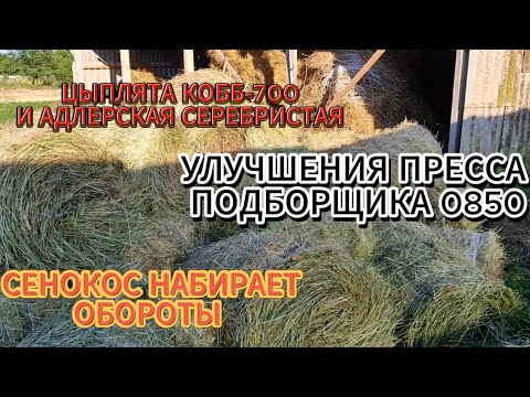 Видео: Сенокос набирает обороты.Купили цыплят КОББ-700 и Адлерскую Серебристую.Доделки пресса 0850.