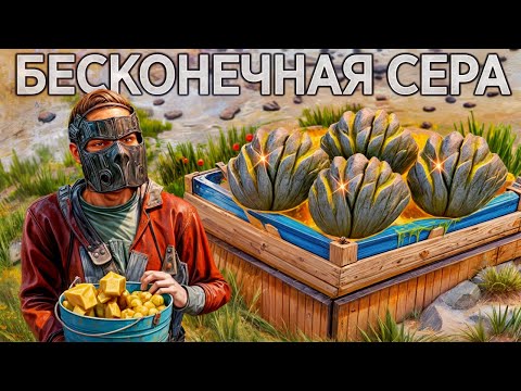 Видео: БЕСКОНЕЧНАЯ ПОЛЯНА РЕСУРСОВ - Фармлю Серу не Выходя из дома в Rust/Раст