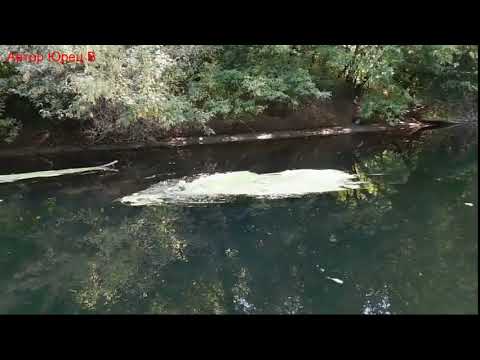 Видео: Поход по реке Сейм от Курска до Льгова  2-5 сентября 2019 г  Фильм шестой  Автор Юрец В