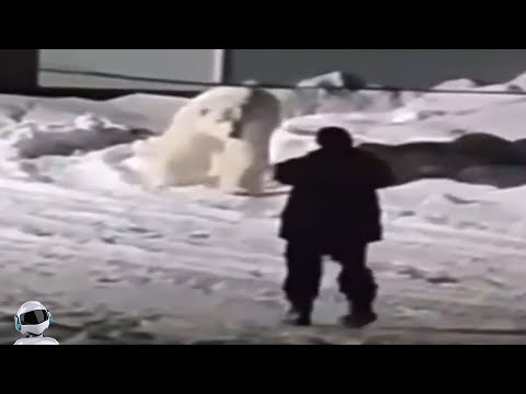 Видео: Мужик Такого не Ожидал / Случаи с Животными Снятые на Камеру