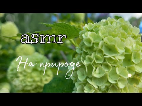 Видео: Асмр|на природе. Шёпот, тихий голос,с ушка на ушко
