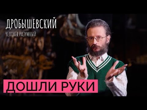 Видео: Как орудия труда эволюционировали вместе с человеком? // Дробышевский. Человек разумный