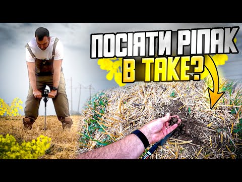 Видео: Все виды обработки стерни под рапс - Хорош Культра, дисковка, боронование, вспашка, рыхление