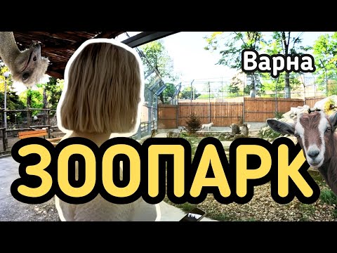 Видео: Зоопарк Варна - Стоимость и Животные | Varna Zoo - Price and Animals
