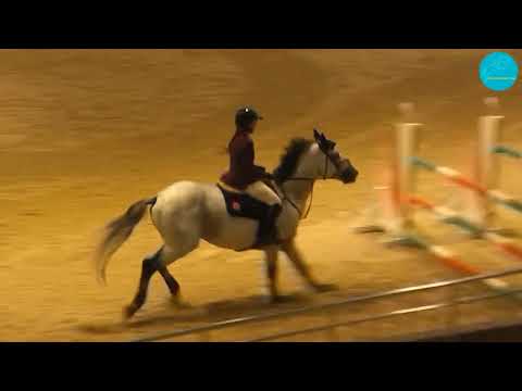 Видео: Конкур 130 см., открытый класс. Чемпионат РК. Астана, 22-10-23